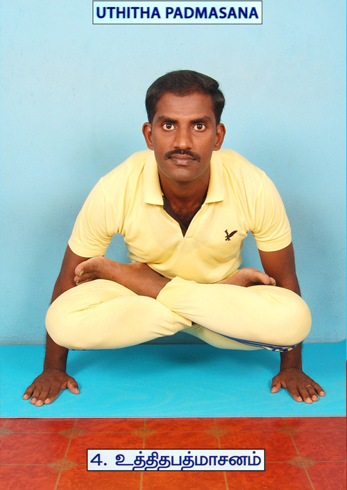 MAHANANDHA YOGALAYAA