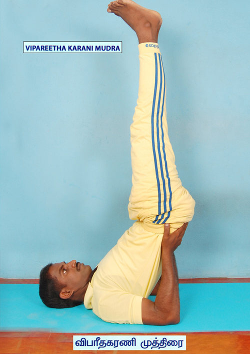 MAHANANDHA YOGALAYAA
