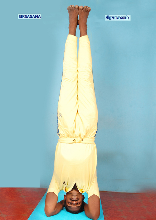 MAHANANDHA YOGALAYAA